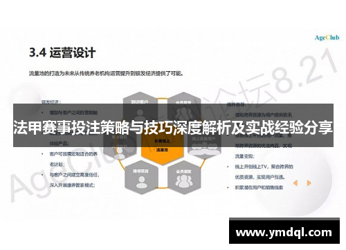 法甲赛事投注策略与技巧深度解析及实战经验分享