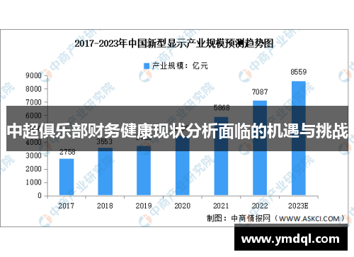 中超俱乐部财务健康现状分析面临的机遇与挑战