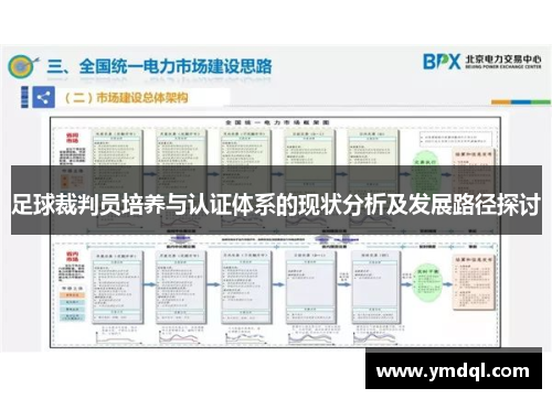足球裁判员培养与认证体系的现状分析及发展路径探讨