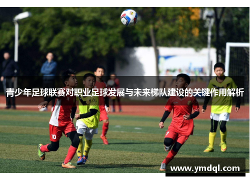 青少年足球联赛对职业足球发展与未来梯队建设的关键作用解析