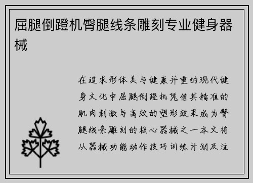 屈腿倒蹬机臀腿线条雕刻专业健身器械