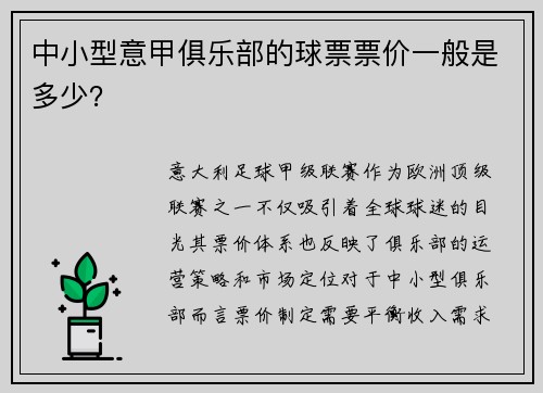 中小型意甲俱乐部的球票票价一般是多少？